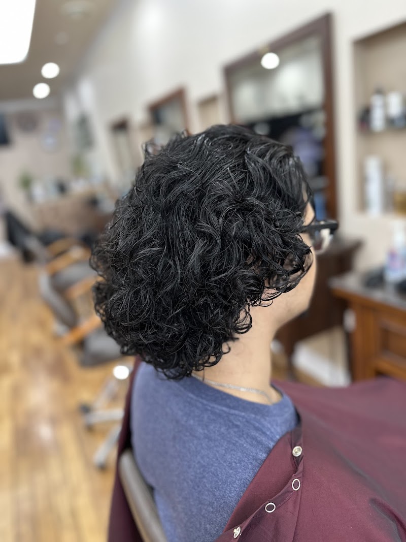 TONI ANDRI SALON - Bronx / Morris Park Ave